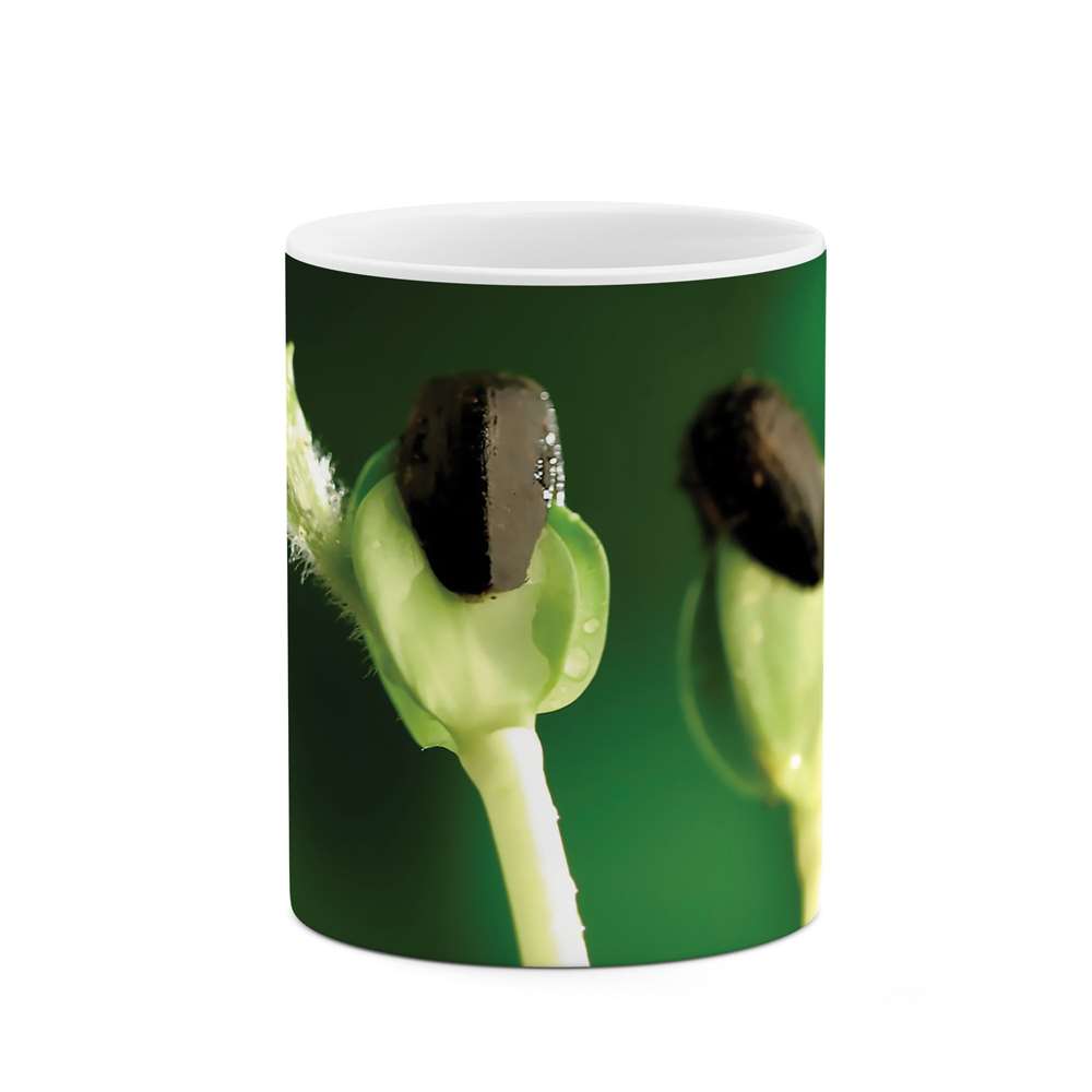 ماگ طرح جوانه مدل 04856