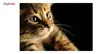 تابلو شاسی سهند طرح LS 267