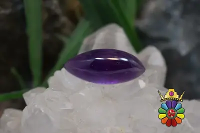 امتیست دامله(کاپوشی)