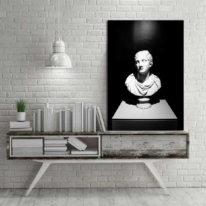 تابلو شاسی طرح مجسمه کد 356 | دنیای قاب