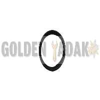 رینگ موتور سایز 50 ام وی ام 110 (3 سیلندر) - گلدن یدک