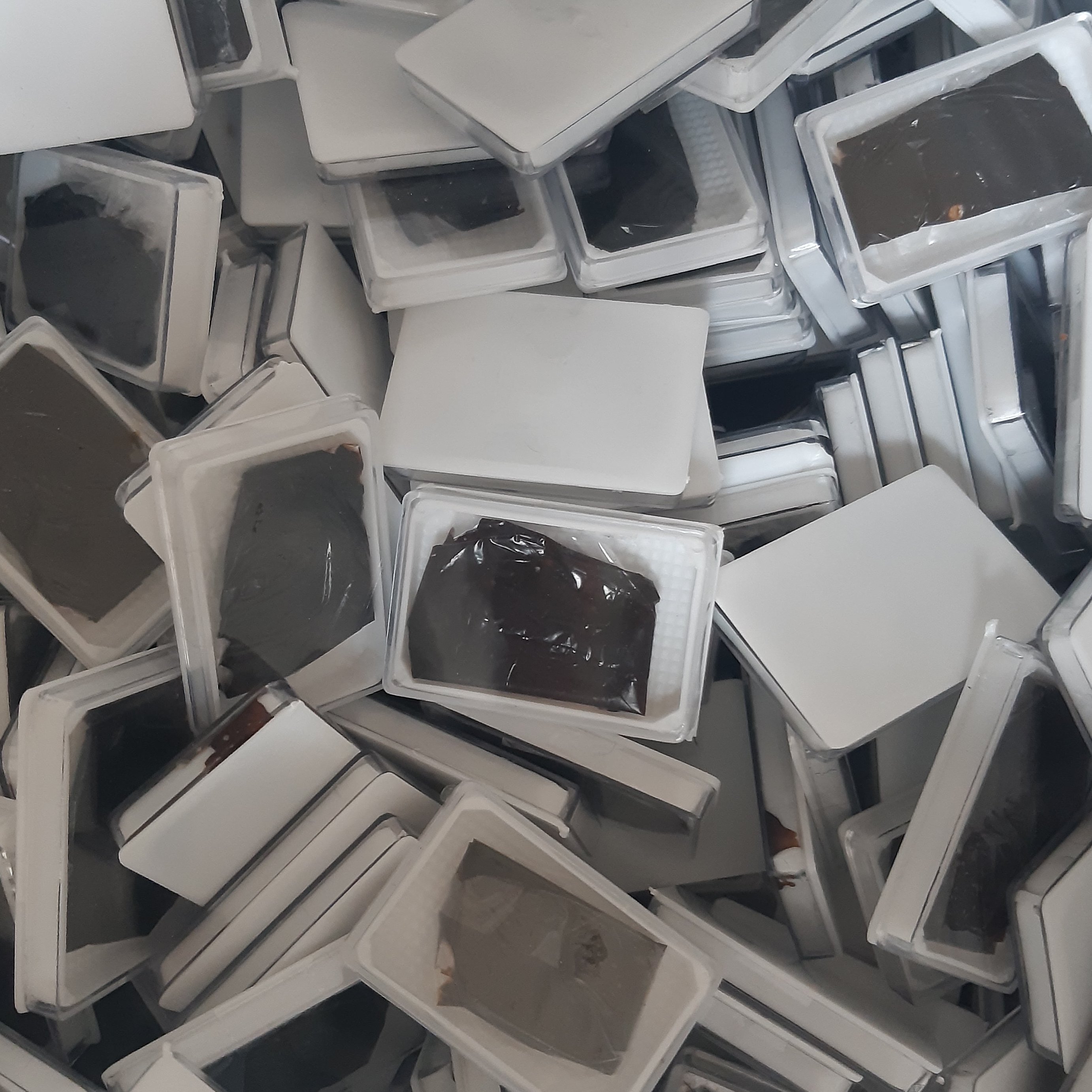 مومیایی گیاهی 100عددی