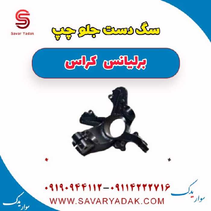 سگ دست جلو چپ برلیانس کراس