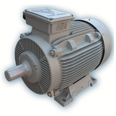 الکتروموتور موتوژن سه فاز 3000 دور چدنی 22kw
