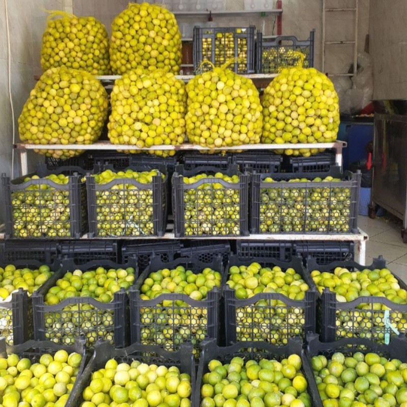 ابلیمو طبیعی عمده جهرم و 10کیلو ارسال باربری وپرداخت در مقصد تا ترمینال مقصد( به شرط مرجوع)