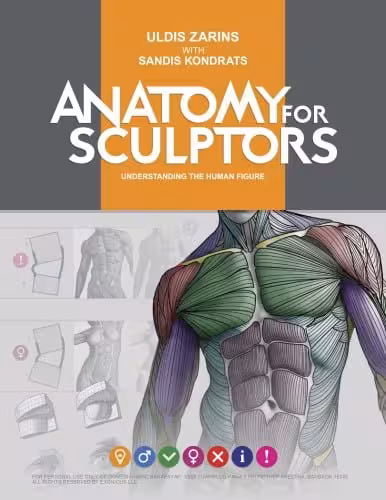 󾕇 دانلود کتاب Anatomy For Sculptors, Understanding The Human Figure, 2014 - دانلود کتاب های دانشگاهی