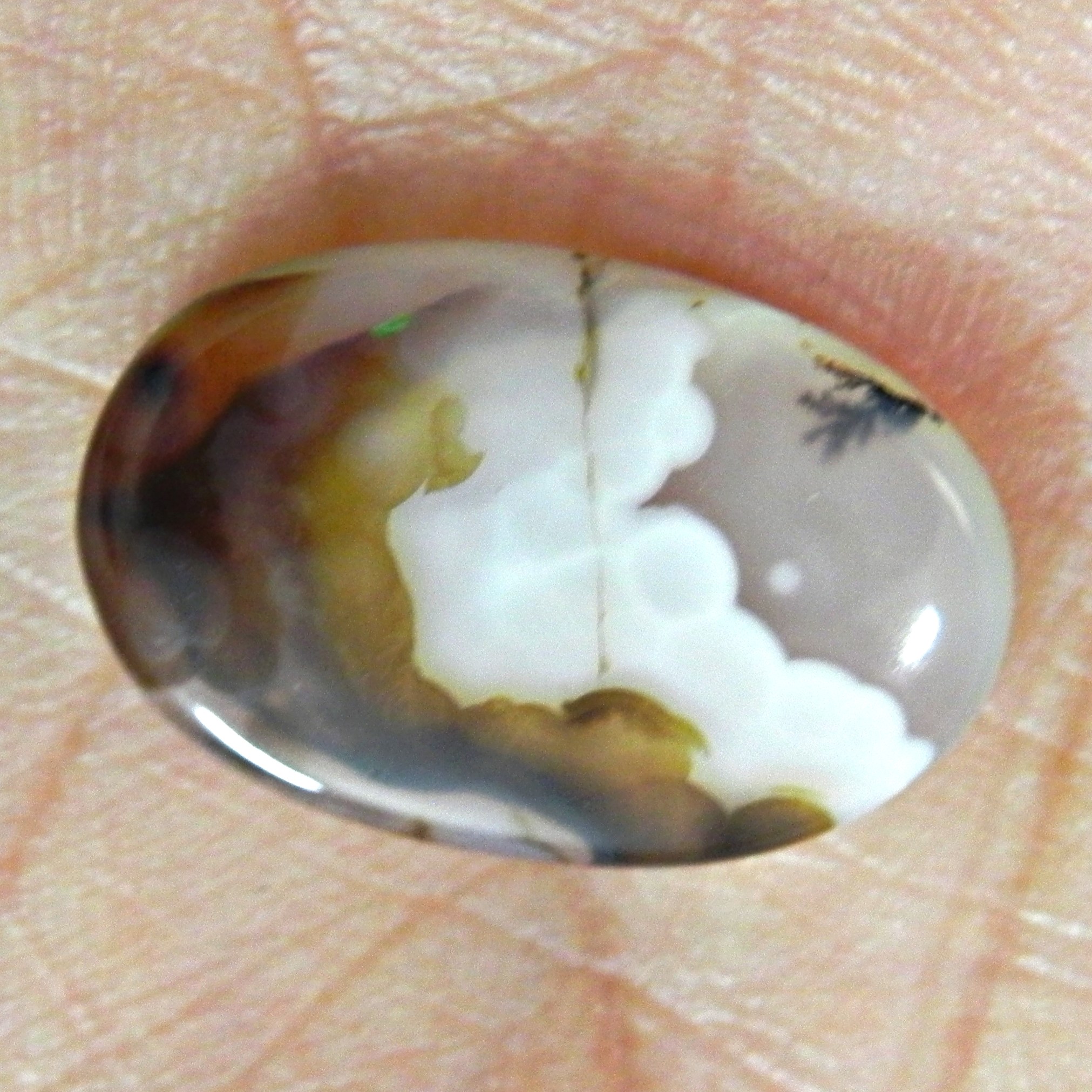 نگین عقیق شجر قائن اصل معدنی تراش بیضی 1.9سانت دامله مناسب انگشتری کد6