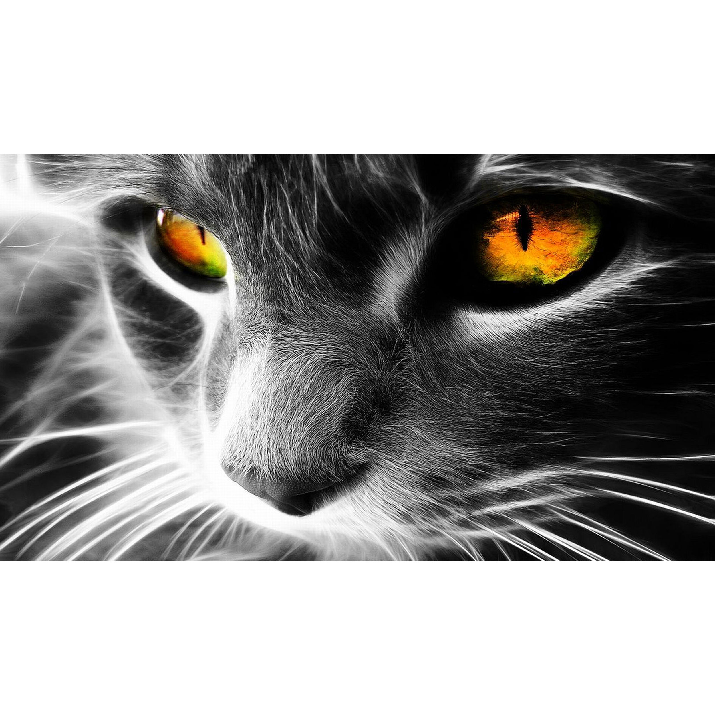 تابلو شاسی طرح نقاشی گربه مدل T7922