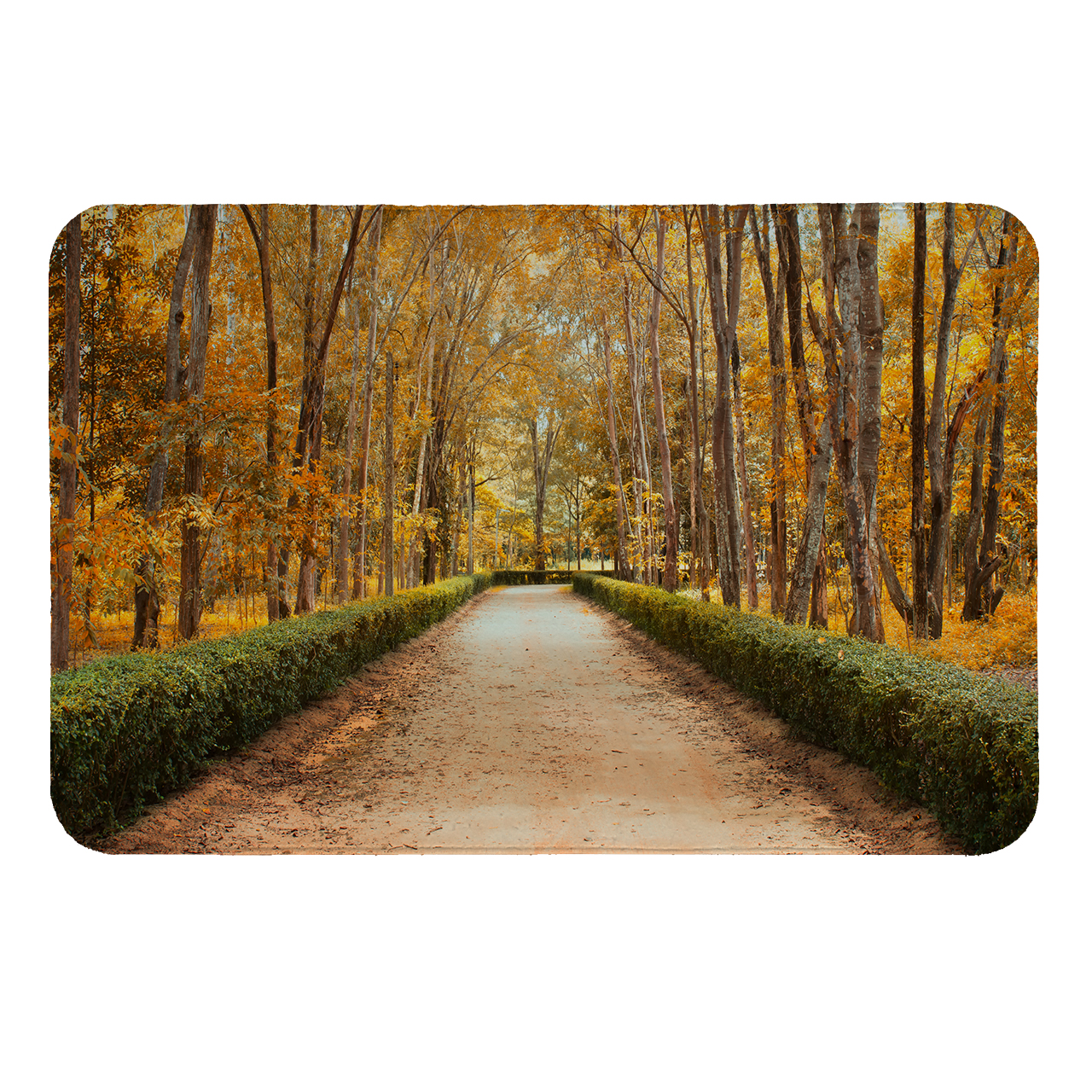  رطوبت گیر کنار سینک کد 117