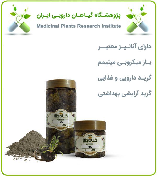 گیاه ماکا خشک یا پودری بسته بندی