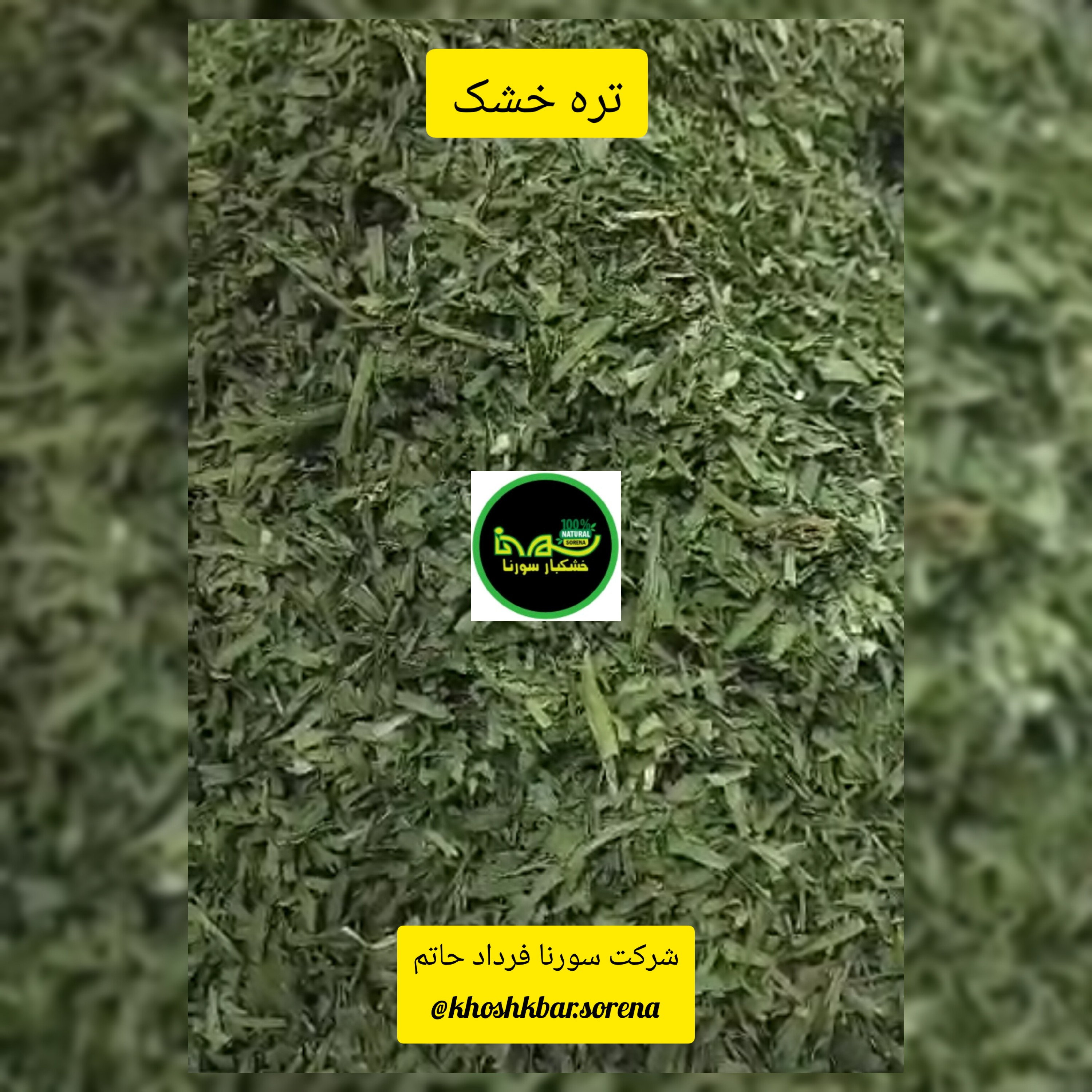 تره سبز محلی درجه یک تمیز و سورت شده(مازندران قائمشهر) در بسته بندی 500 گرمی