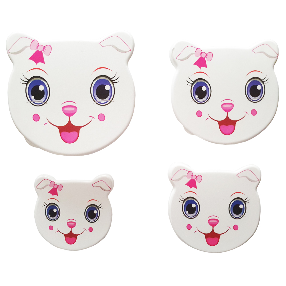 ظرف نگهدارنده کد 007 مجموعه 4 عددی