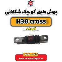 بوش طبق کوچک شکلاتی دانگ فنگ H30 کراس اتوماتیک