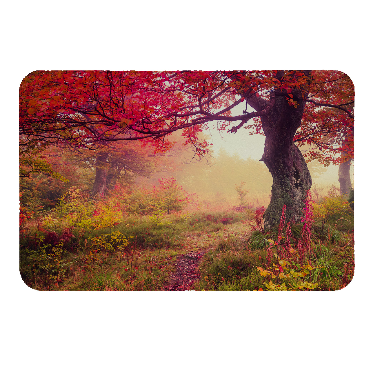 رطوبت گیر کنار سینک کد 5506