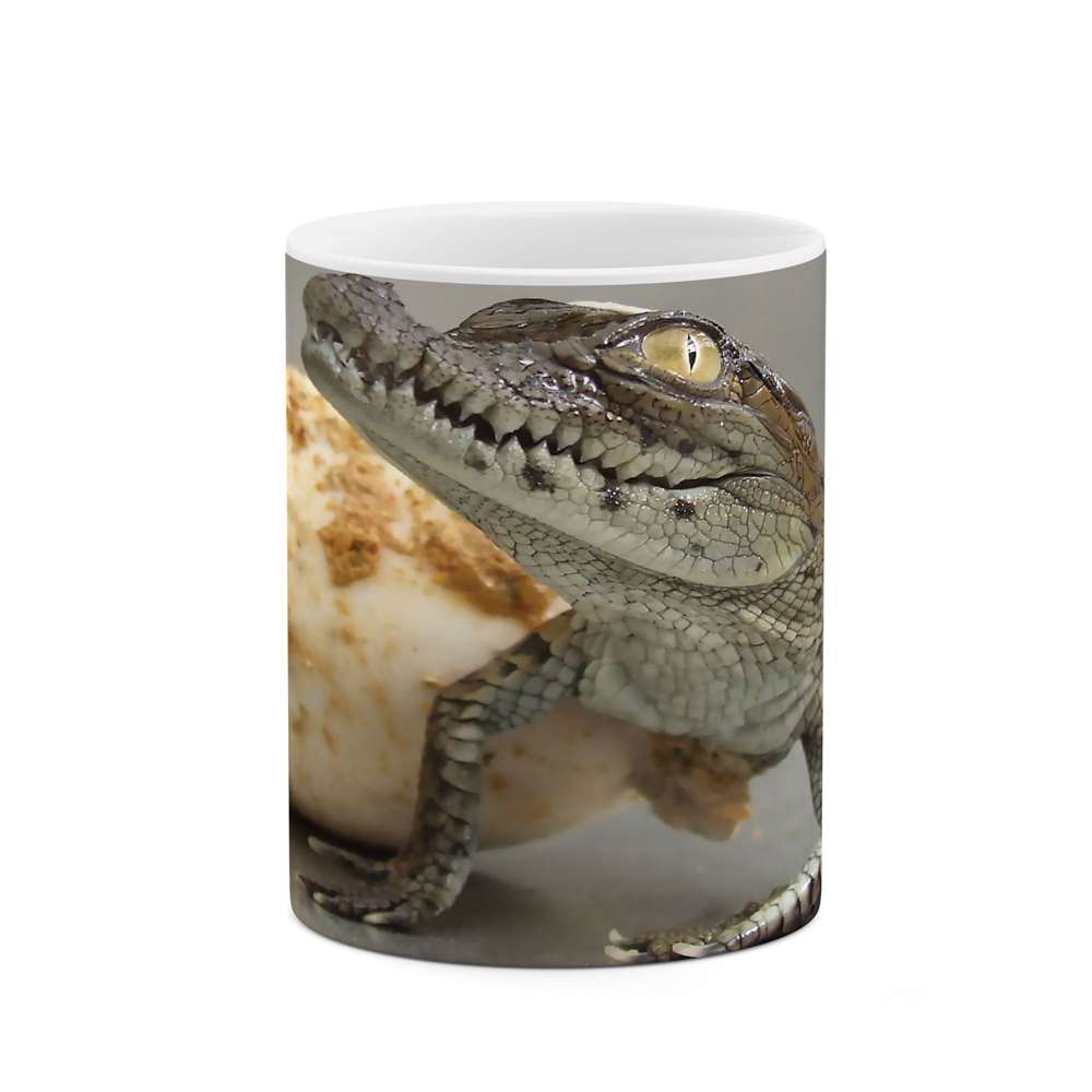 ماگ طرح تمساح مدل mgs07317