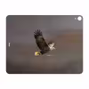 برچسب پوششی ماهوت مدل Eagle مناسب برای تبلت اپل iPad Pro 12.9 (GEN 3) 2018 A1895