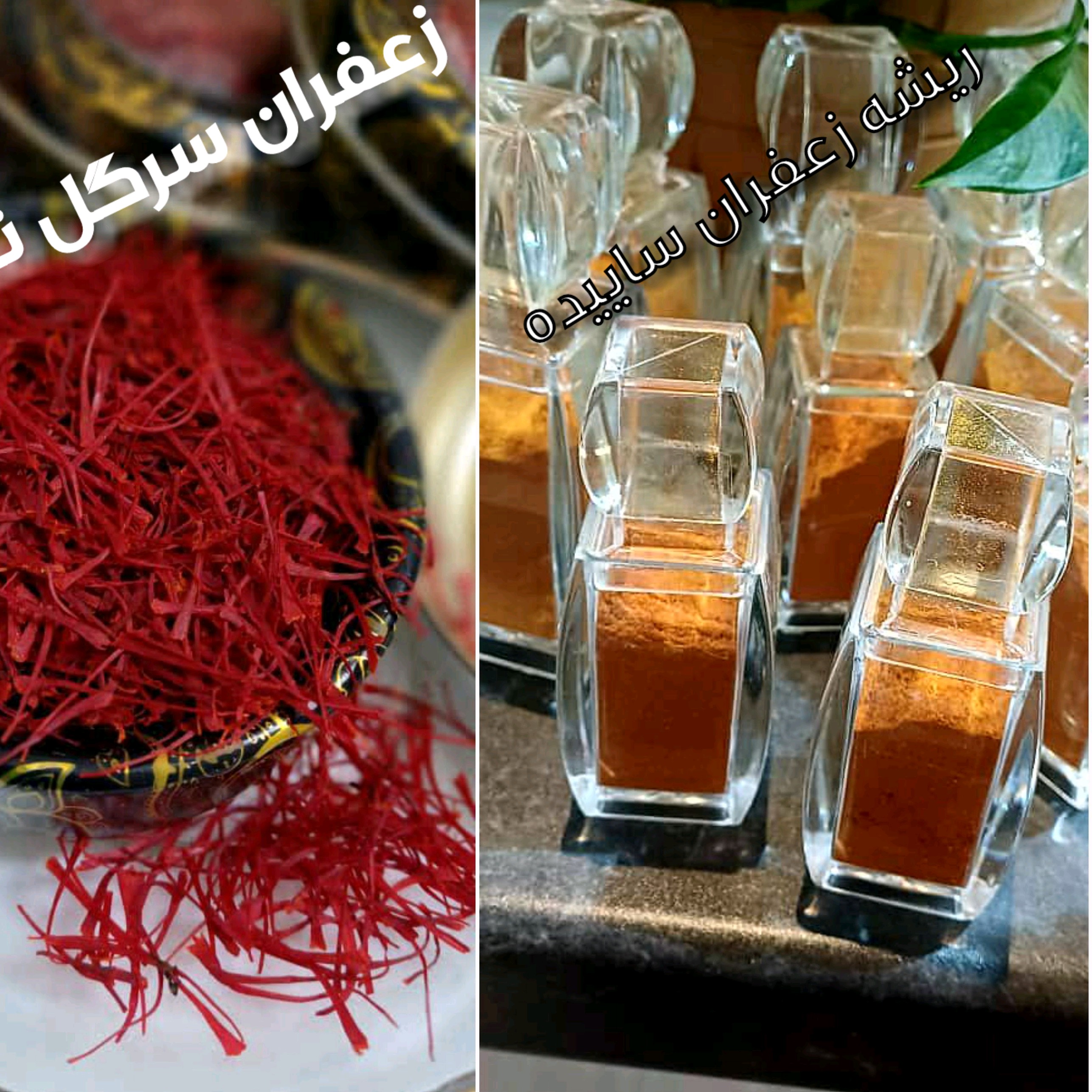 ریشه زعفران ساییده شده خالص با عطر و رنگ زعفران ، فوق العاده عالی است ، یکبار استفاده کنید زعفران رو کنار می گذارید