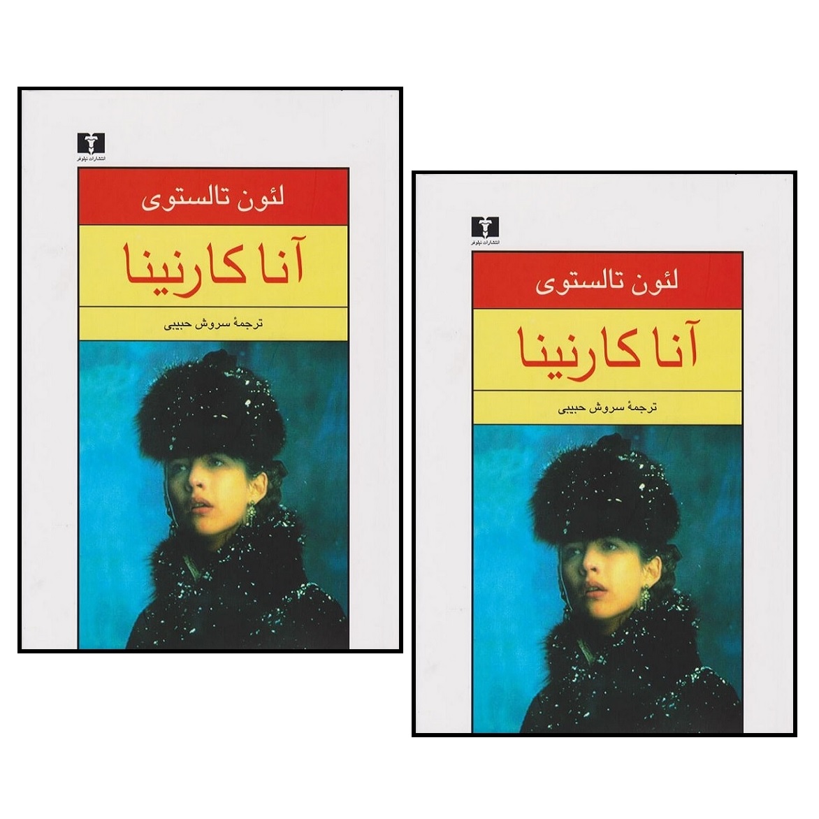 کتاب آنا کارنینا اثر لئون تالستوی انتشارات نیلوفر 2 جلدی 