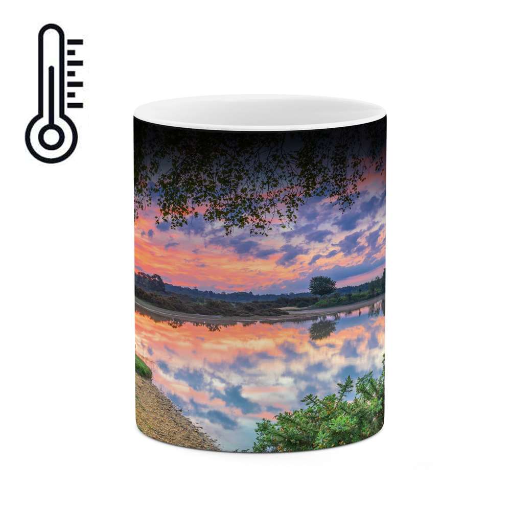 ماگ حرارتی کاکتی طرح منظره مدل mgh13115