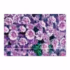 برچسب پوششی ماهوت مدل Purple-Flower مناسب برای تبلت مایکروسافت Surface Pro 3 2014