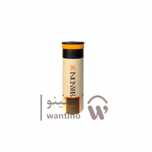 اسپری مردانه تق هرمس برندینی (Brandini Hermes Terre d'Hermes) حجم 200 میل