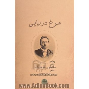 مرغ دریایی | مرکز فرهنگی آبی