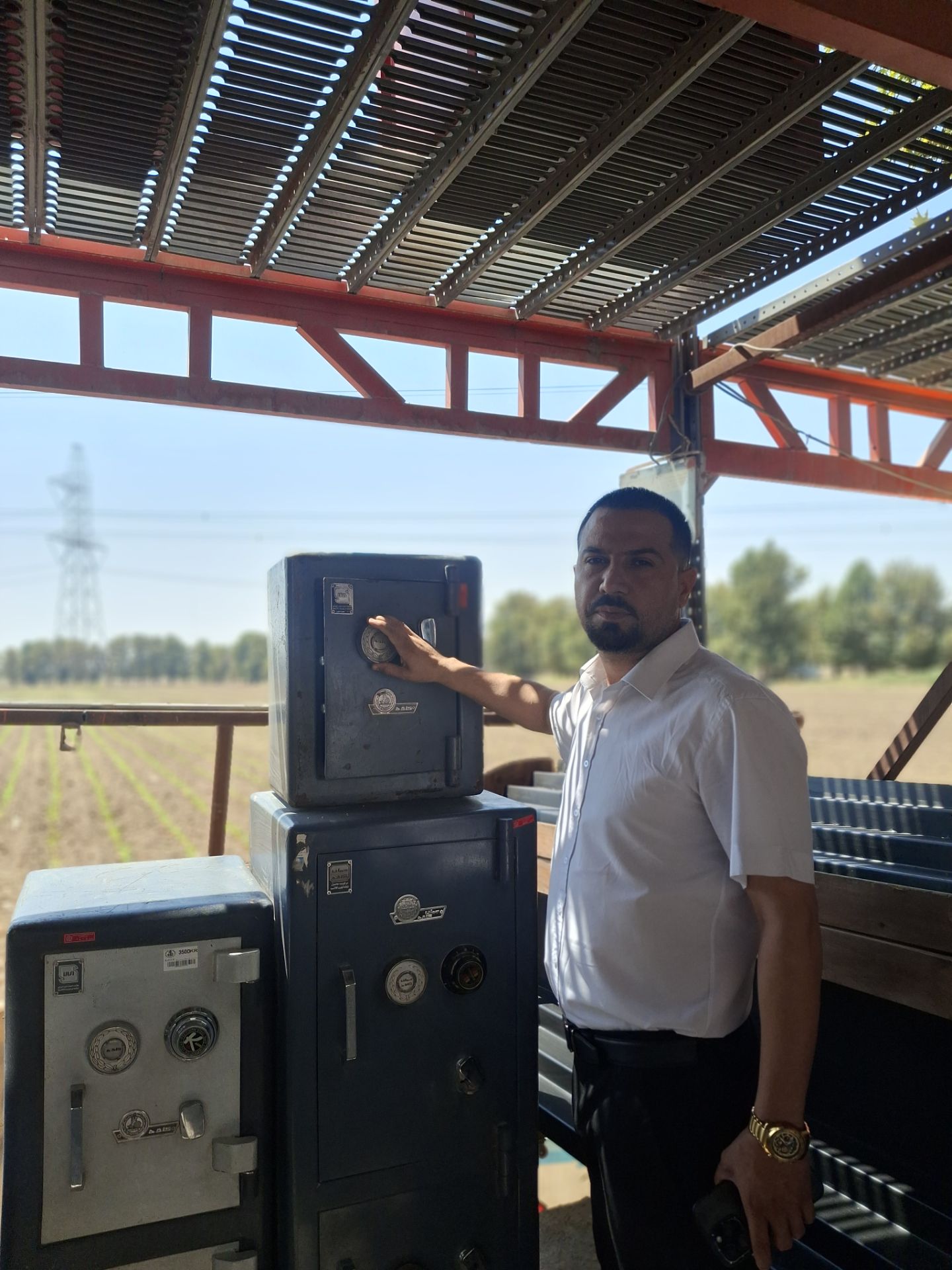 خرید و قیمت گاو صندوق های کوچک کاوه - قفسه‌بندی وکیلی