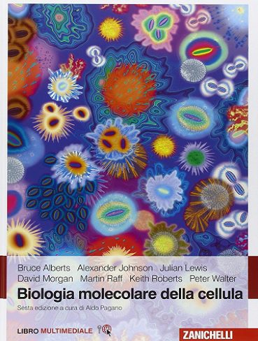 Biologia molecolare della cellula زیست شناسی مولکولی سلول (رنگی)