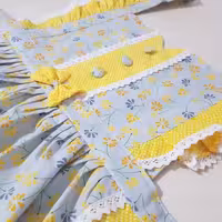 سرویس دمکنی