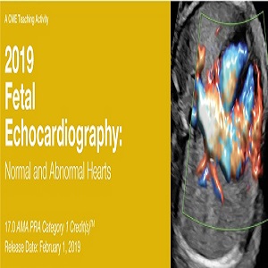 2019 Fetal Echocardiography Normal and Abnormal Hearts at 35€ - کتاب پزشکی بهار