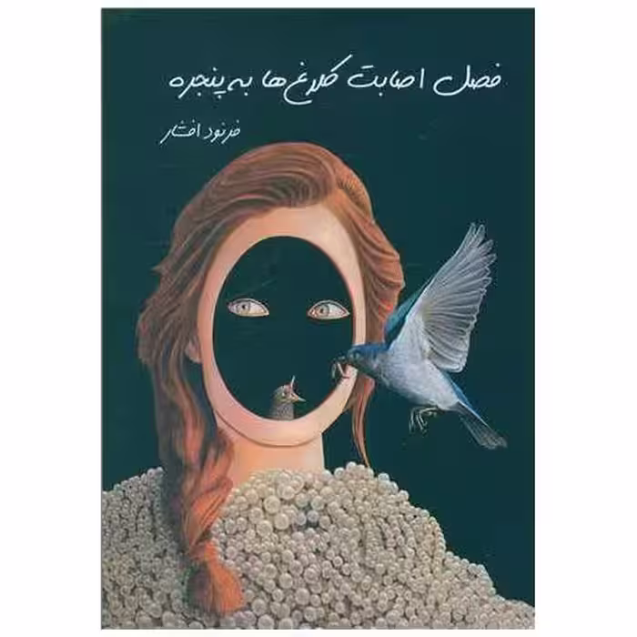 کتاب فصل اصابت کلاغ‌ها به پنجره اثر فرنود افشار