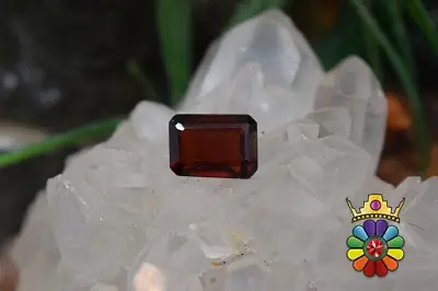 گارنت هسونیت