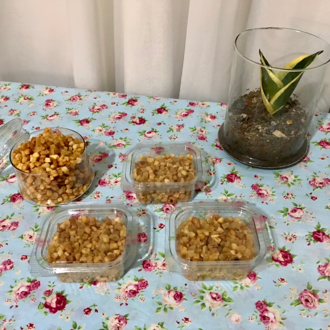 سیر داغ سرخ شده نگینی خانگی