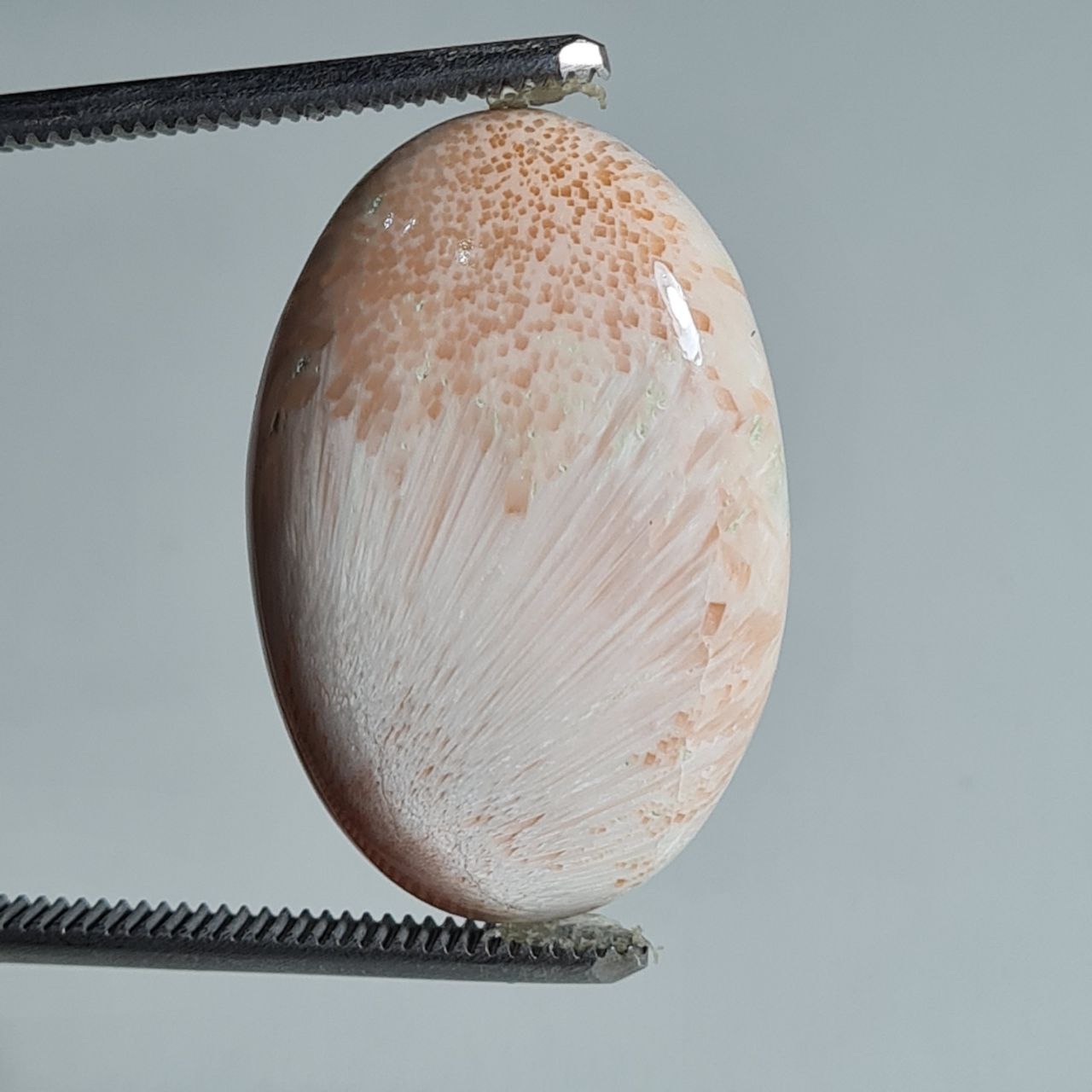 سنگ اصل اسکولسیت 5086