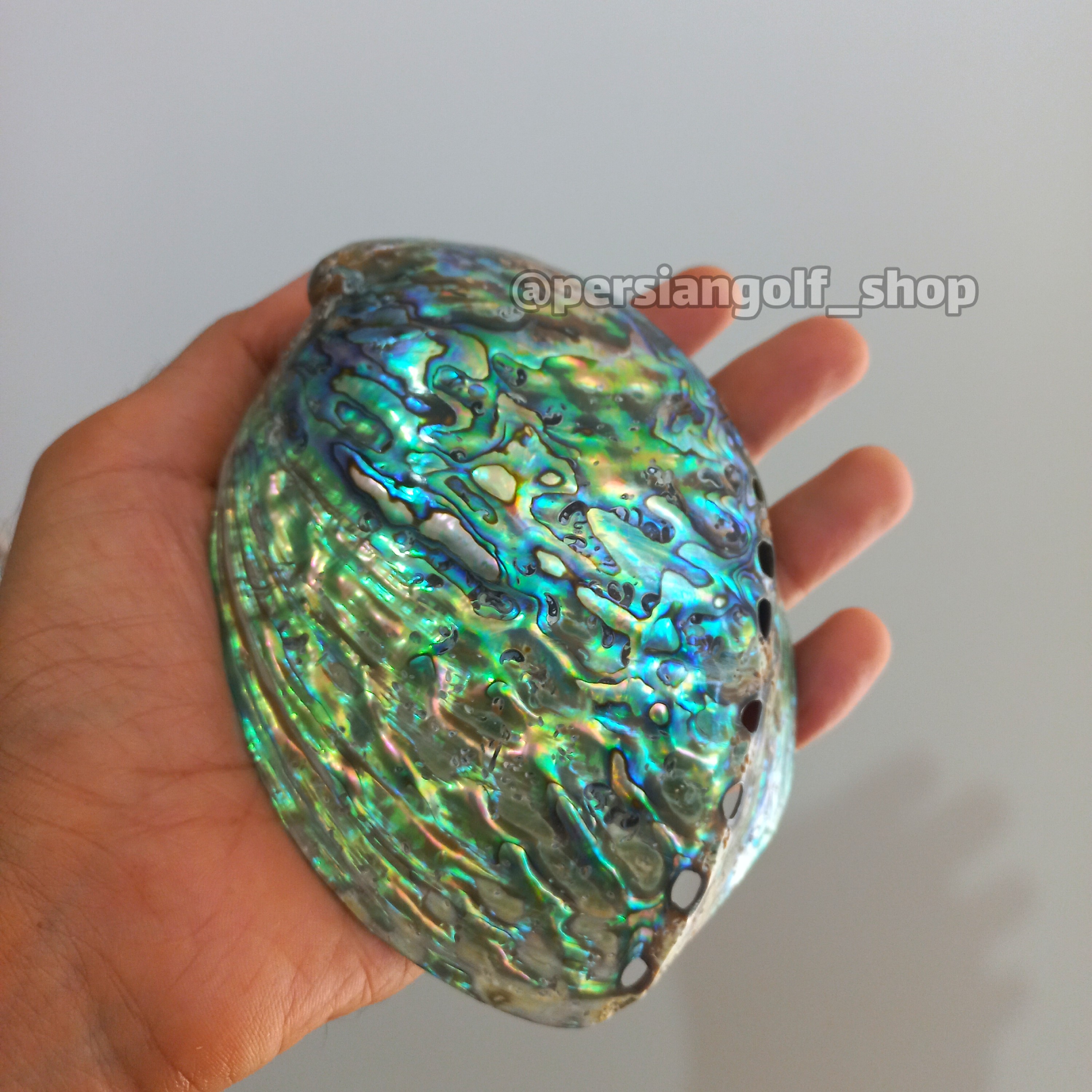 صدف آبالون هفت رنگی طبیعی کلکسیونی 