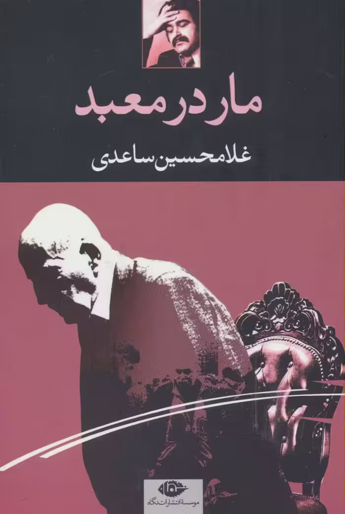 مار در معبد - ناشربوک | خرید آنلاین کتاب