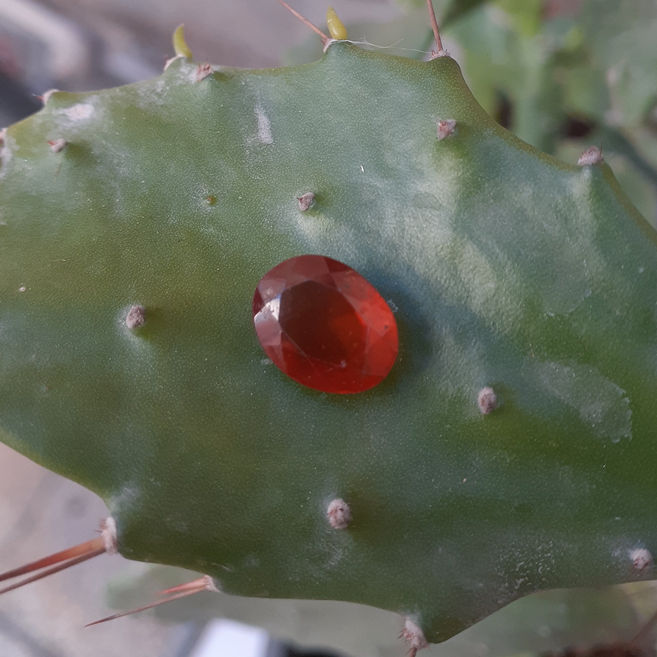 گارنت هسونایت(وارداتی،ارسال رایگان2)