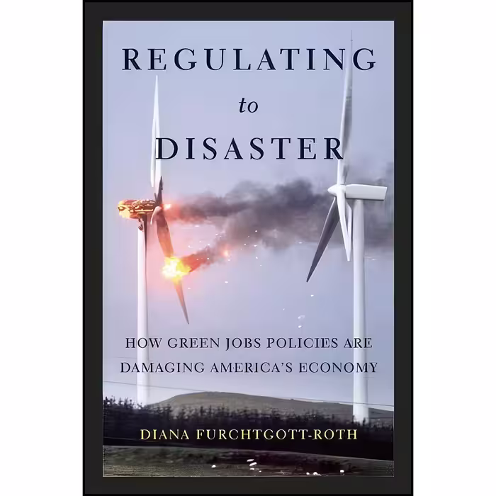 کتاب زبان اصلی Regulating to Disaster اثر Diana FurchtgottRoth