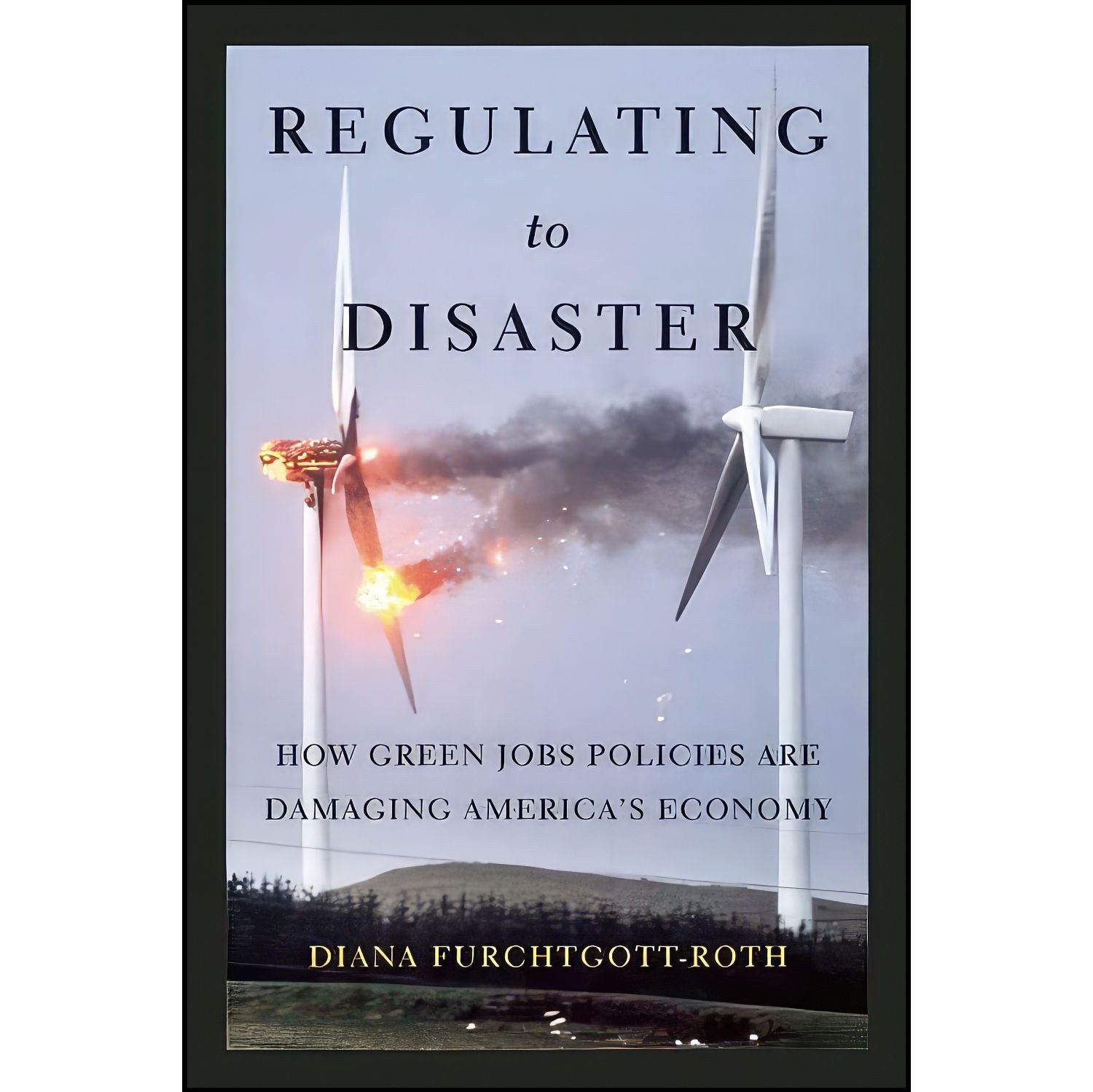 کتاب زبان اصلی Regulating to Disaster اثر Diana FurchtgottRoth