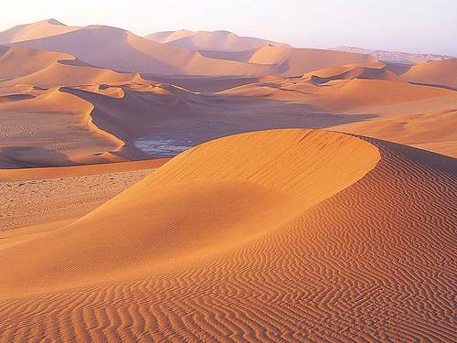 تحقیق انواع کويرهاي ايران