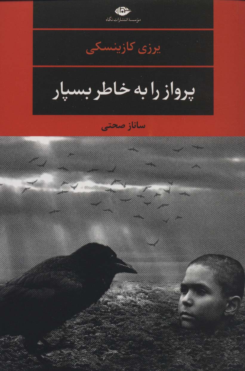 پرواز را به خاطر بسپار (ادبیات مدرن جهان،چشم و چراغ123) - ناشربوک | خرید آنلاین کتاب
