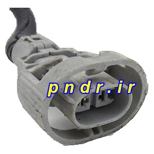 سوکت دو فیش
