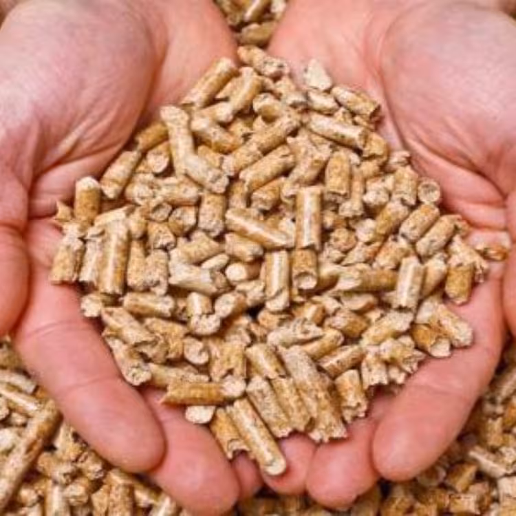 خوراک پرشیرمرغوب درجه یک باپروتیین 14درصدبرای گاووگوسفتدشیرده