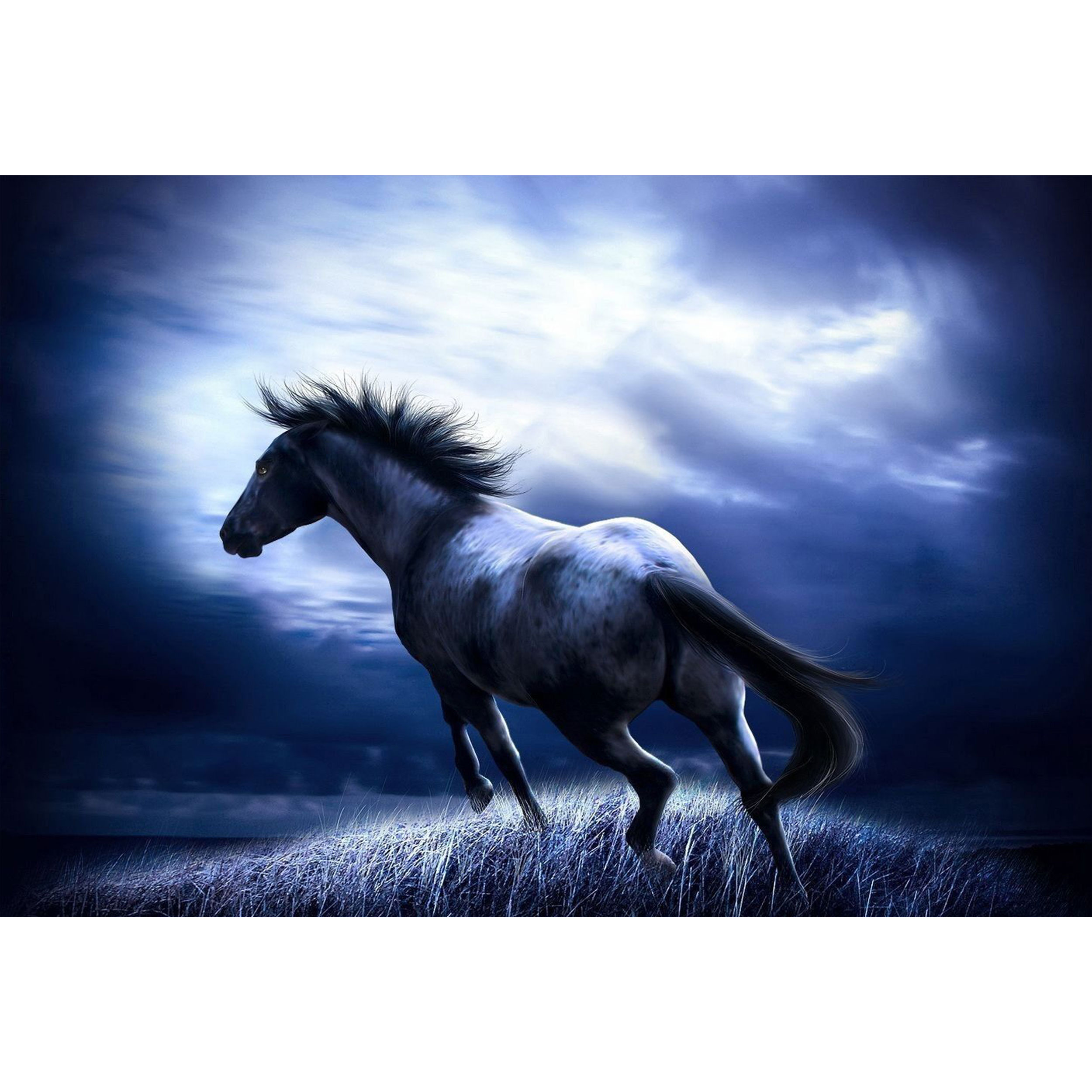 تابلو شاسی طرح اسب مدل T1319