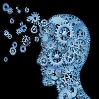 تحقیق تبيين رابطه بين نقش جنسيتي مردانه و زنانه با رشته تحصيلي در دانشجويان پسر رشته هاي فني و هنر