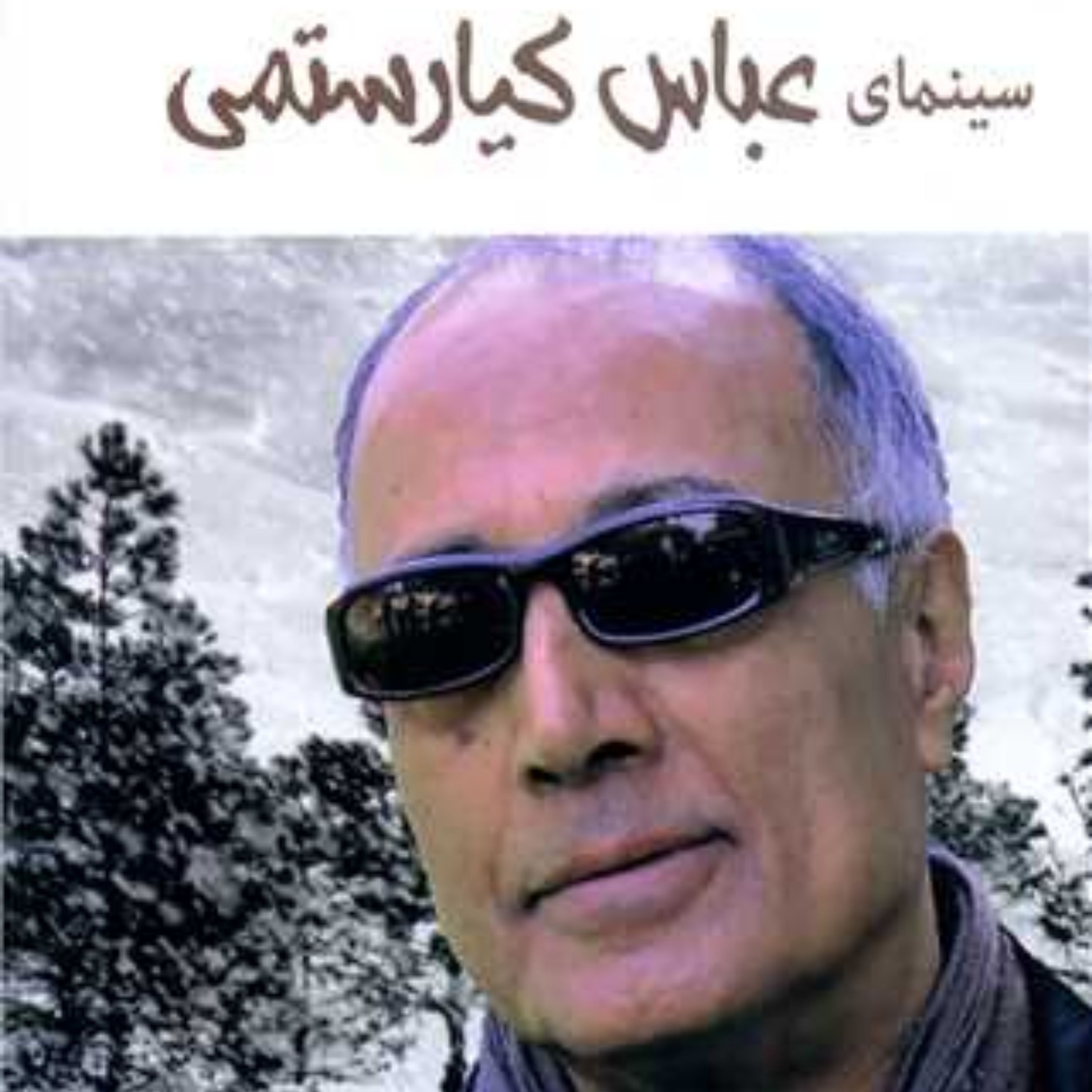 کتاب سینمای عباس کیا رستمی