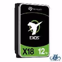 هارد سرور سیگیت Hard Drive Exos 12Tb ST12000NM004J