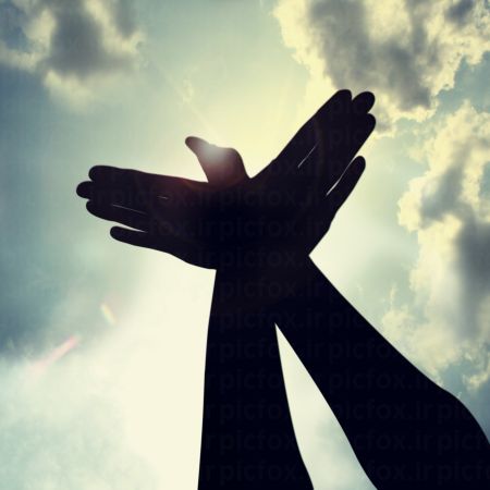 خرید و دانلود عکس Hand-Part-2 کد 24977 | پیک فاکس | Pic Fox