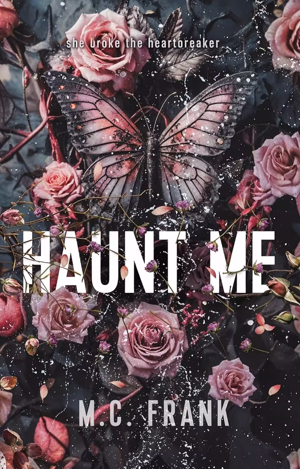 Haunt Me: Heartbreaker Duet book 2 (Lose Me book 5)