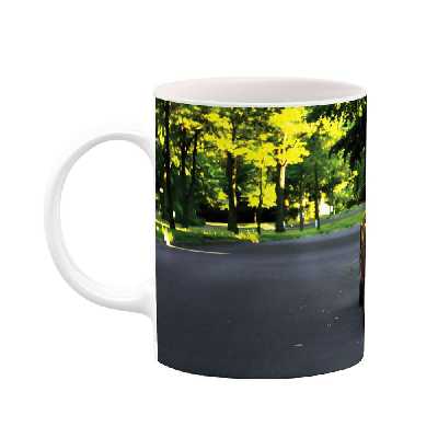 ماگ طرح ماشین مدل mug04466